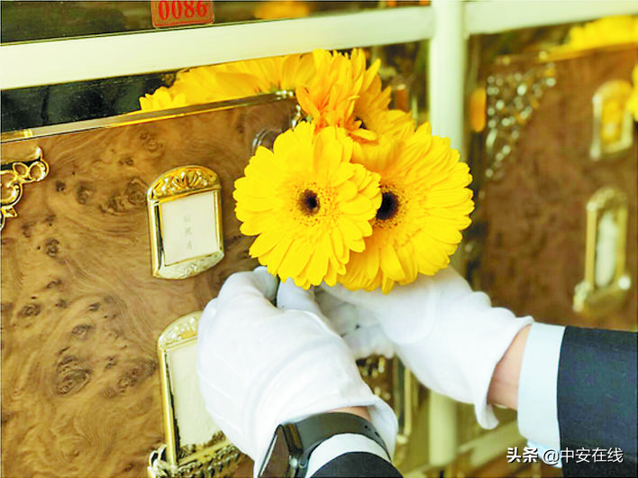 清明节不能回家祭扫怎么办_其他祭扫方式