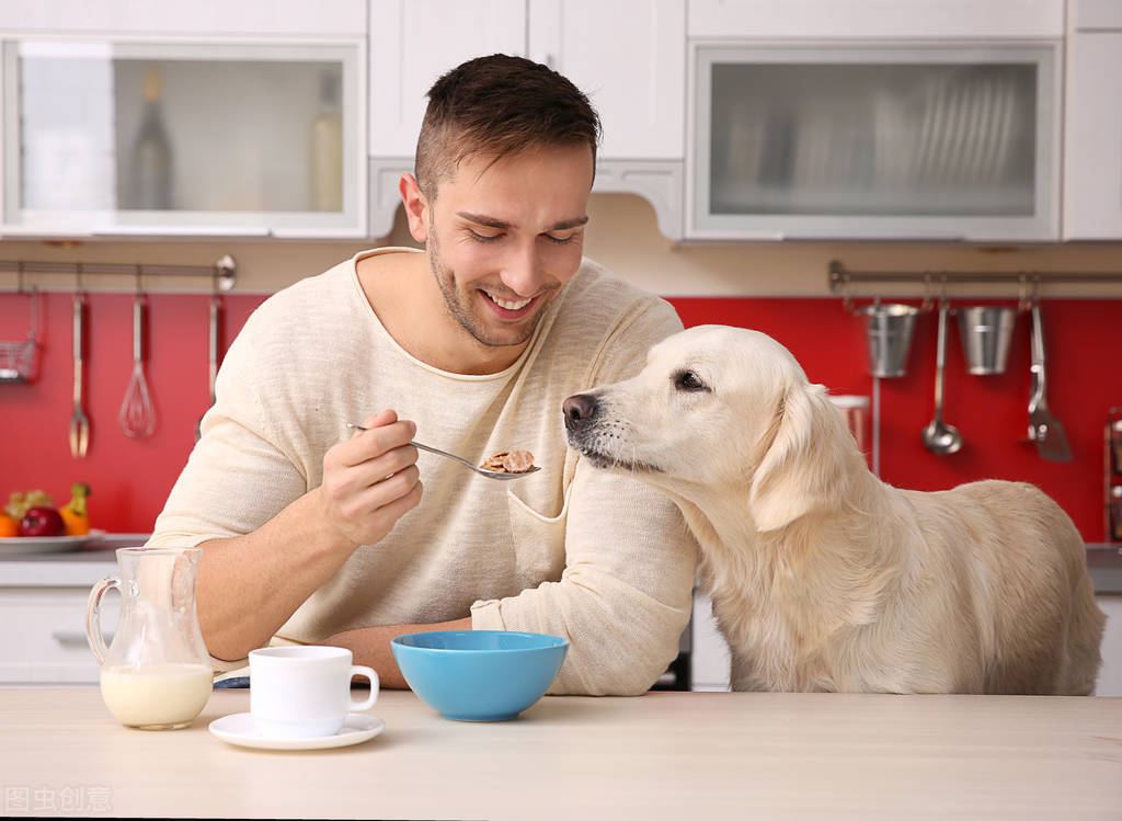 谁给个幼犬自制狗粮的配方_让幼犬茁壮成长狗粮配方