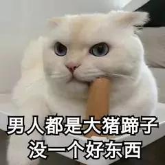 网络用语大猪蹄子是啥意思_为什么称男人为大猪蹄