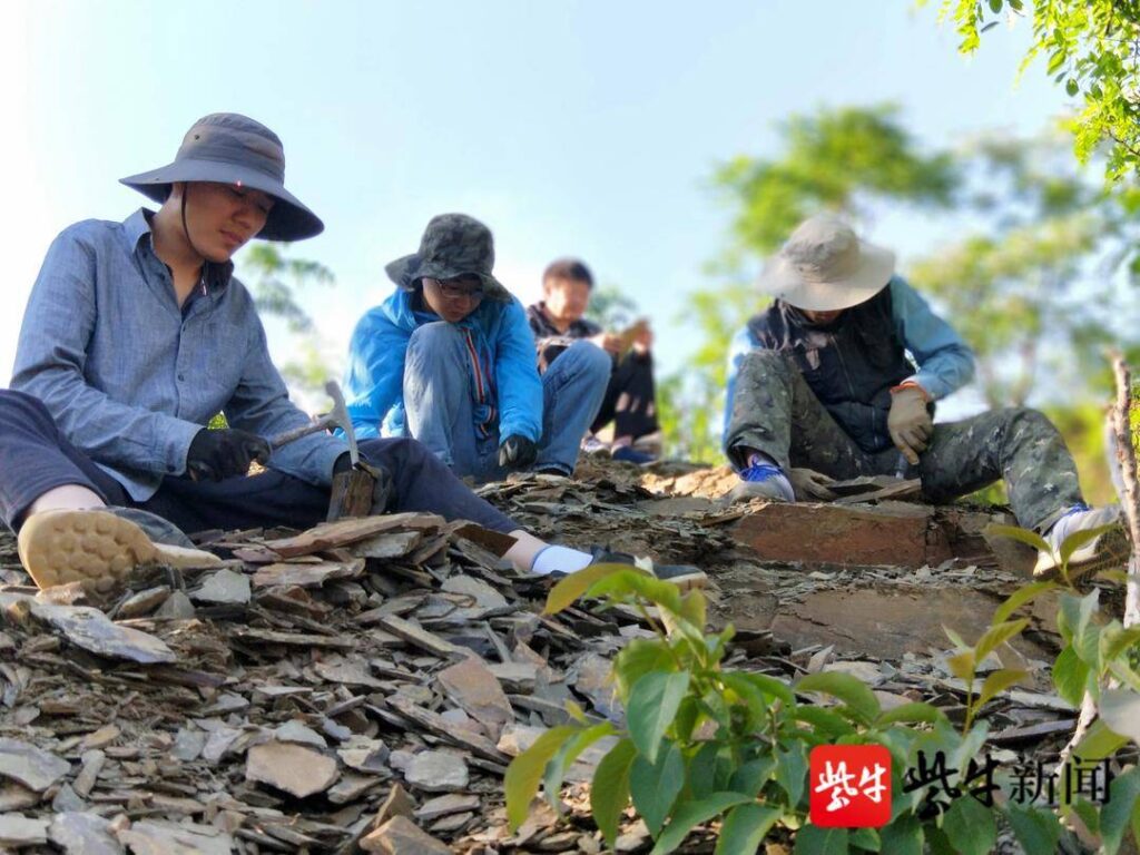 范特西是什么意思_周杰伦专辑名字与考古有什么关系