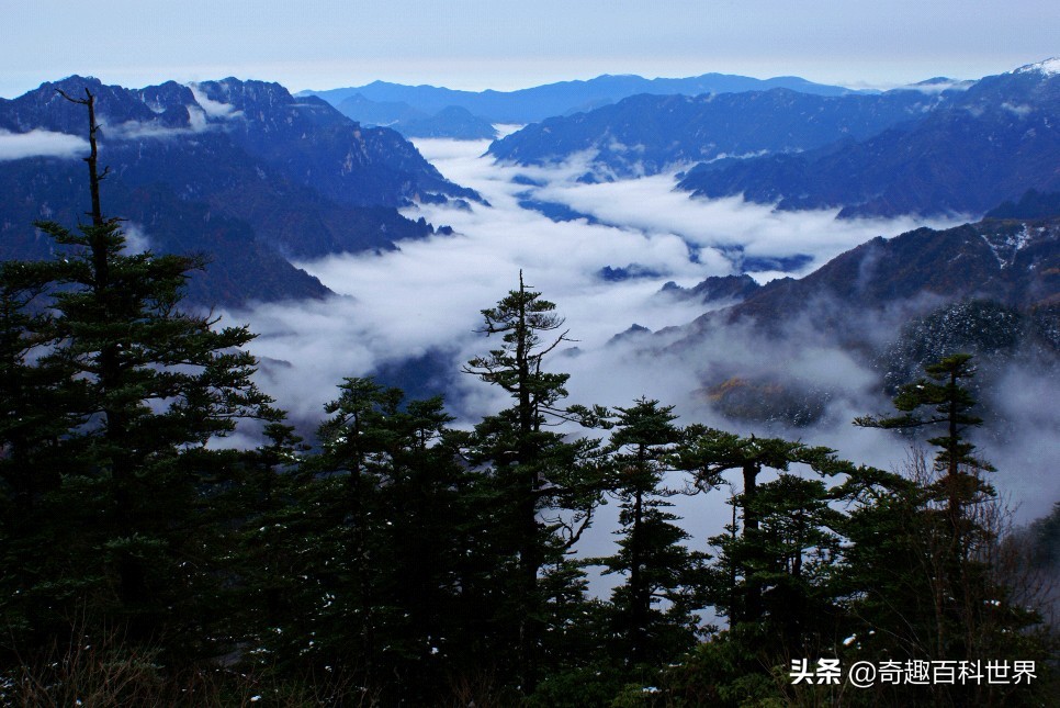 我国的自然保护区有哪些_中国十大自然保护区