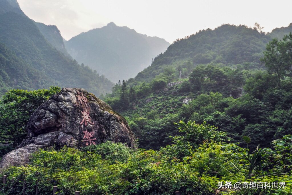 我国的自然保护区有哪些_中国十大自然保护区