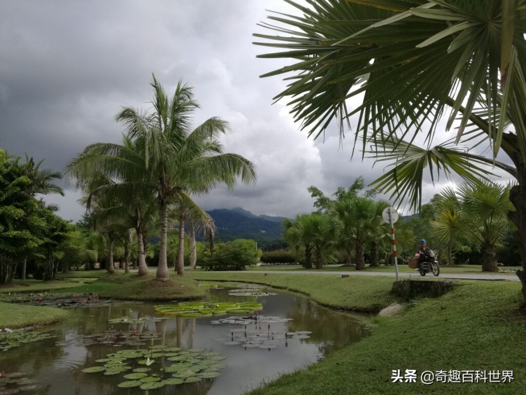 我国的自然保护区有哪些_中国十大自然保护区