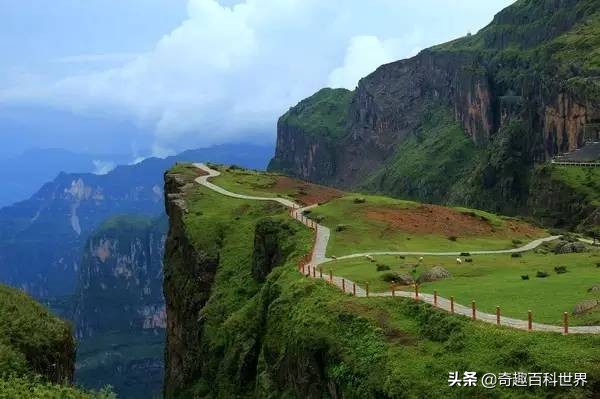 我国的自然保护区有哪些_中国十大自然保护区