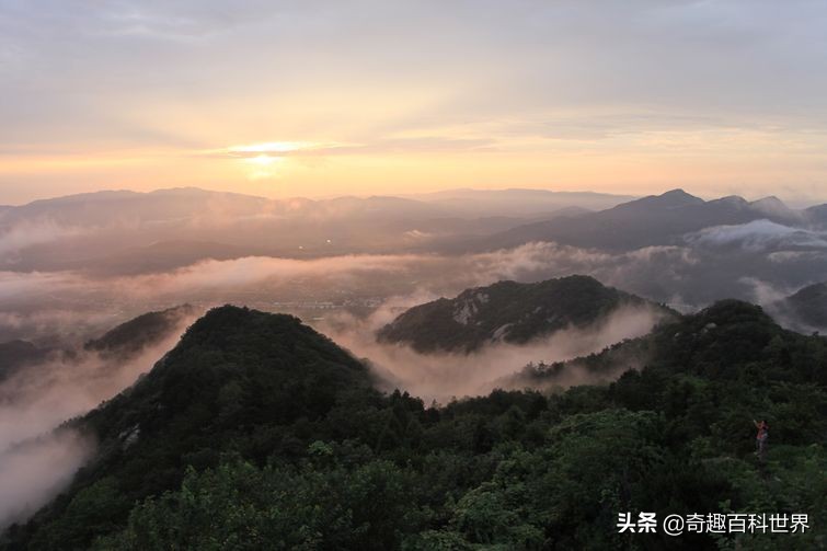 我国的自然保护区有哪些_中国十大自然保护区