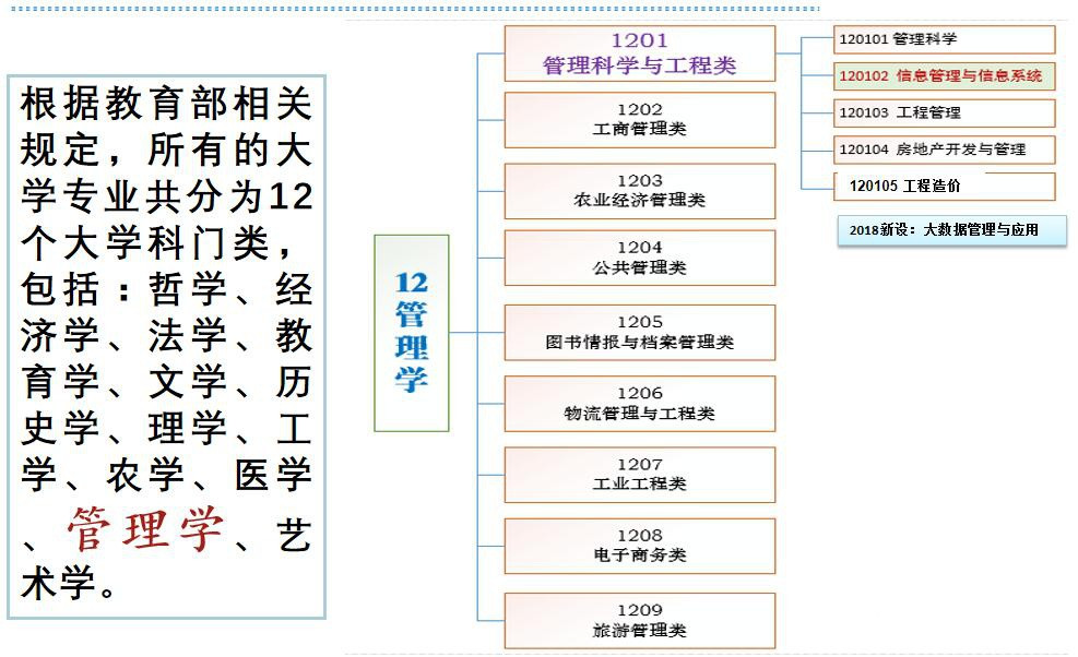 什么是信息管理技术 _个专业主要学点啥