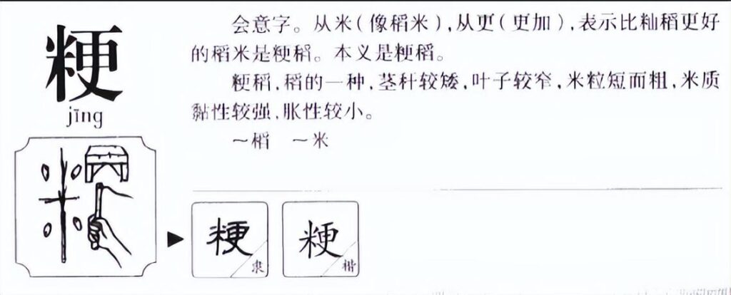 粳米怎么读_释义说文解字