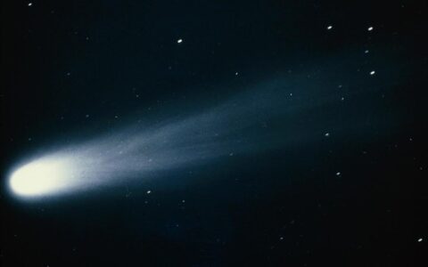 哈雷彗星命名源于什么_为什么叫哈雷彗星