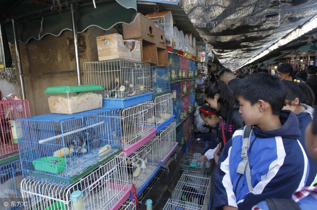 广东广州有几个茶叶批发市场_广州江南粮油食品批发市场