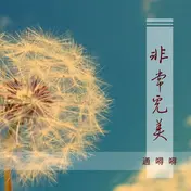 非常完美的所有歌曲_李莎旻子原创歌曲叫什么