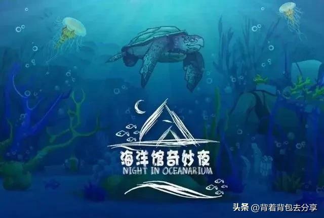 上海长风海洋世界好玩吗？最具有人气的十大海洋馆