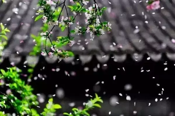 曹雪芹是男是女，曹家与康熙皇帝的特殊关系